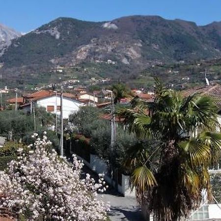 House Versilia Luca E Giada, 5 Chilometri Da Forte Dei Marmi! ภายนอก รูปภาพ